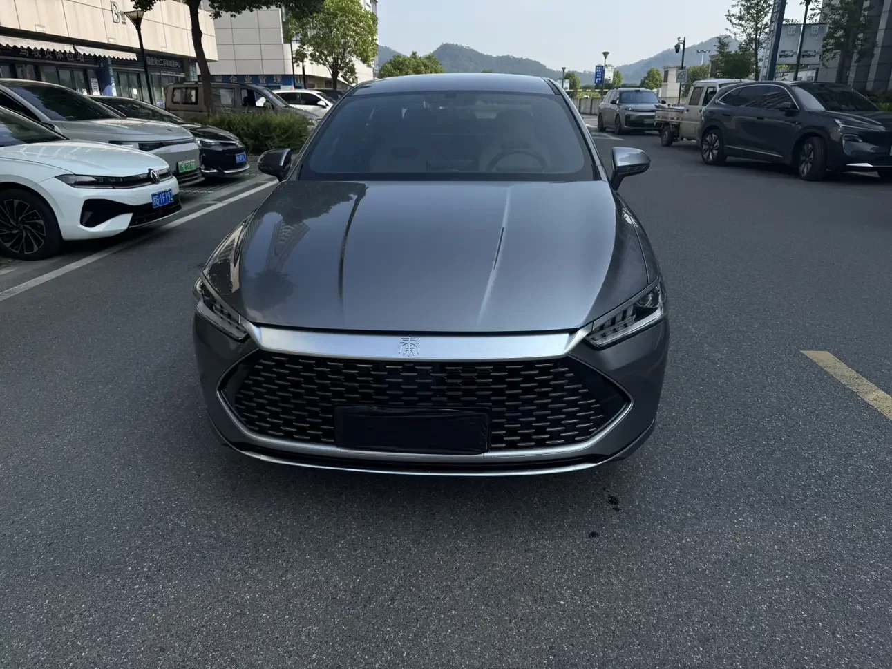 BYD Qin PLUS DM