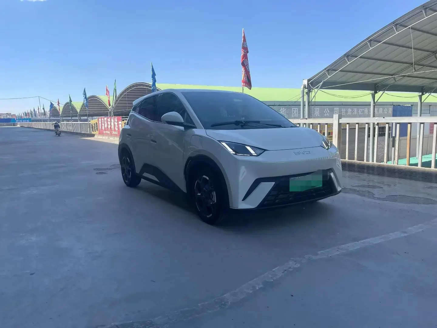 BYD seagull