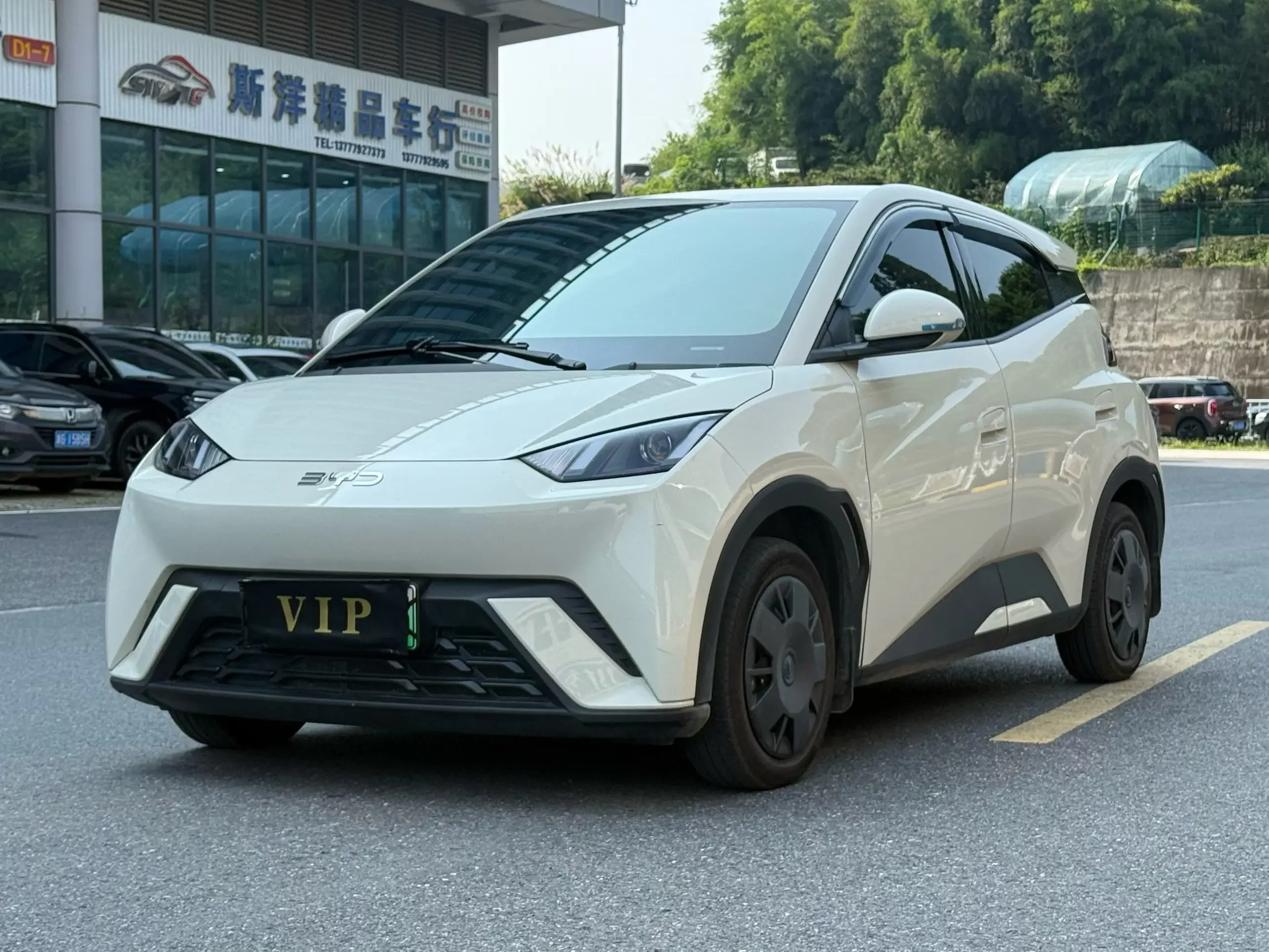 BYD seagull