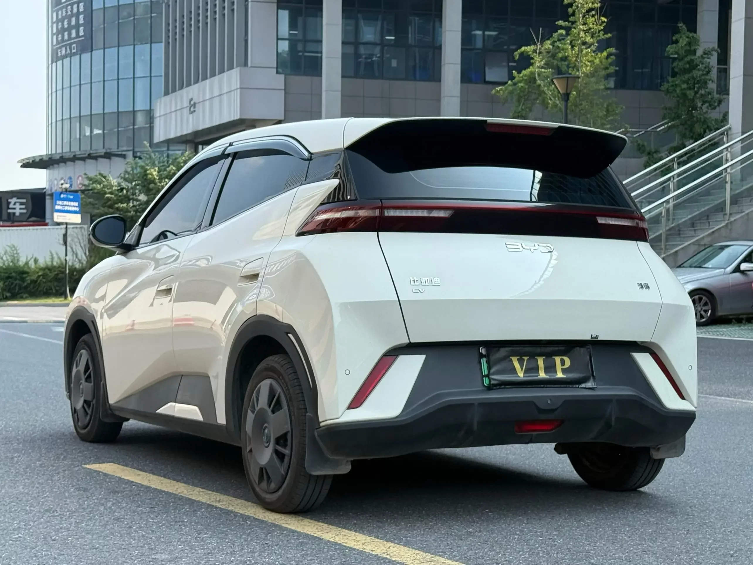BYD seagull
