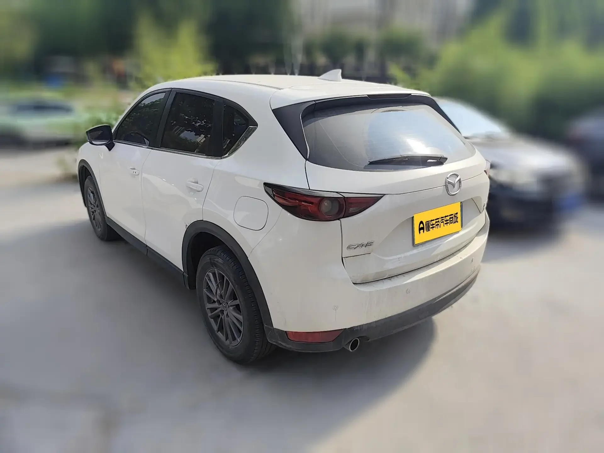 catalog-car-6