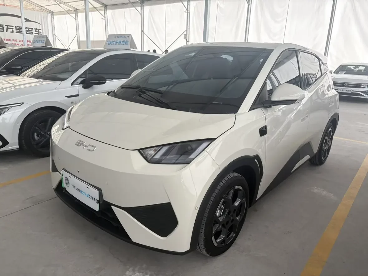 BYD seagull