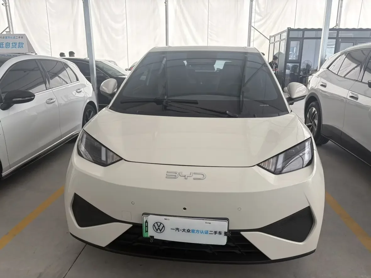 BYD seagull