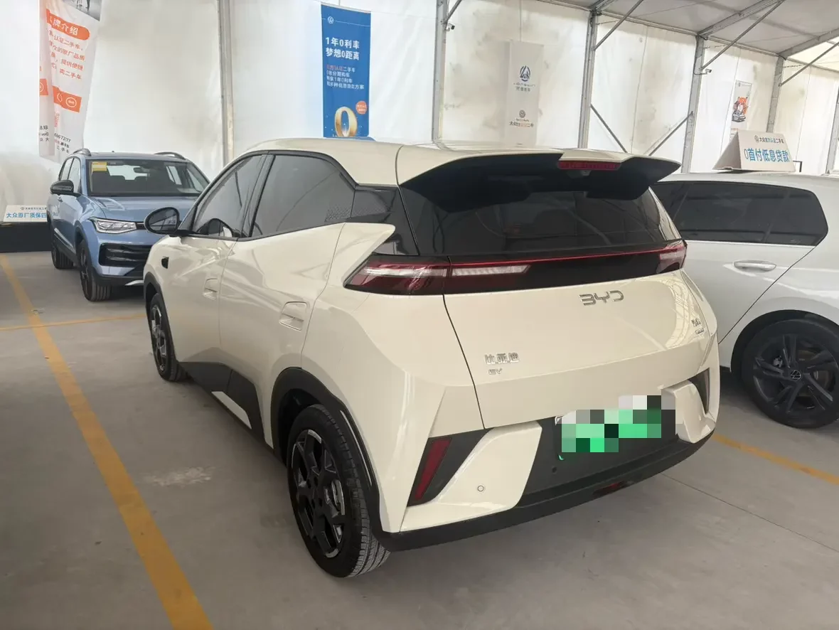 BYD seagull