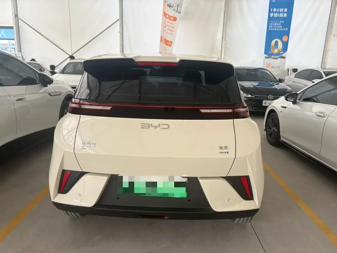 BYD seagull