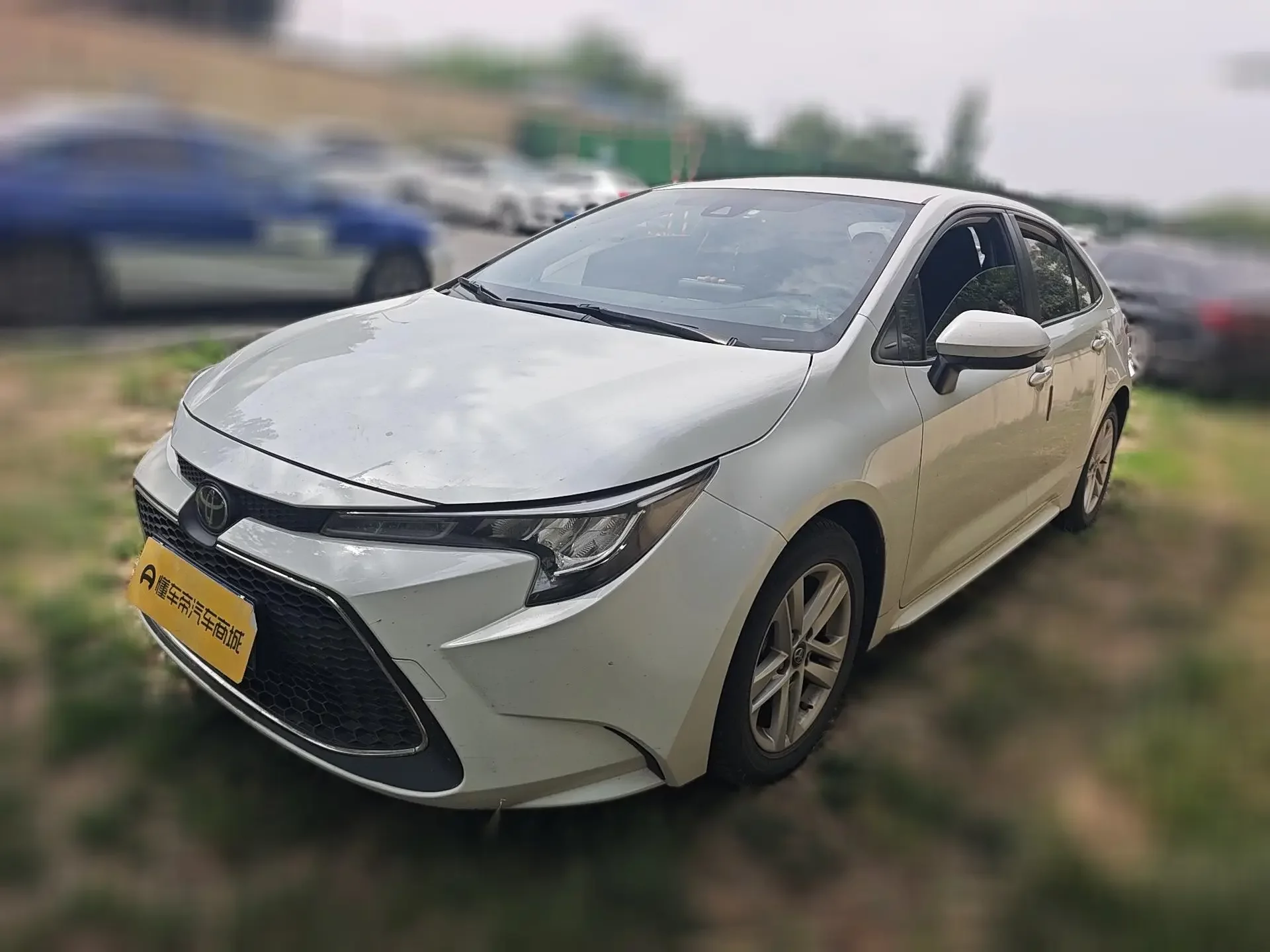 Toyota Levin