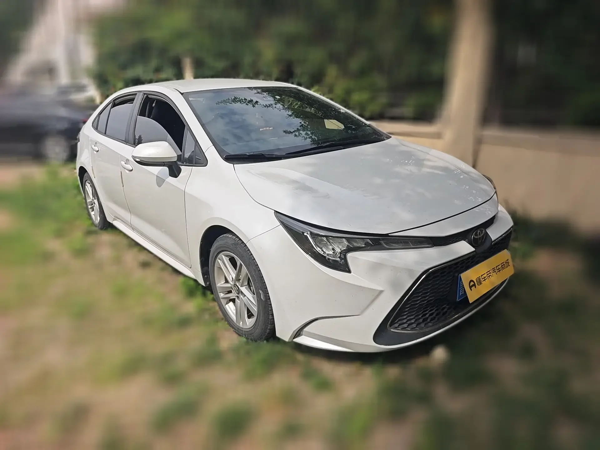 Toyota Levin
