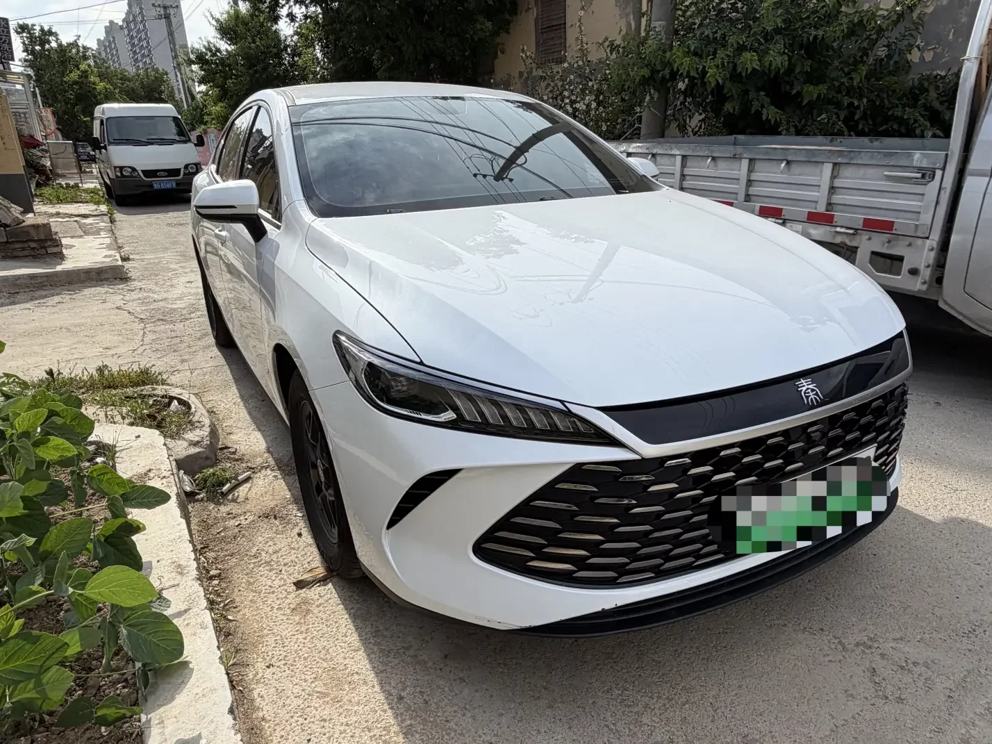 BYD Qin PLUS DM