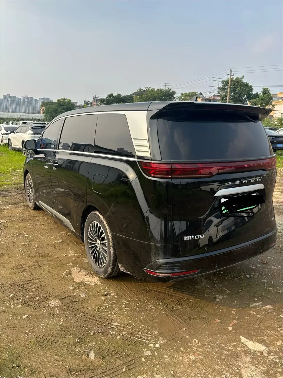 Denza D9 DM