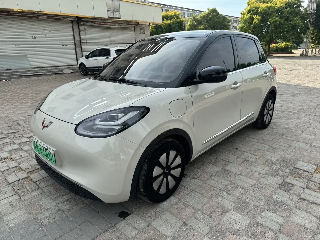 Wuling Bingo