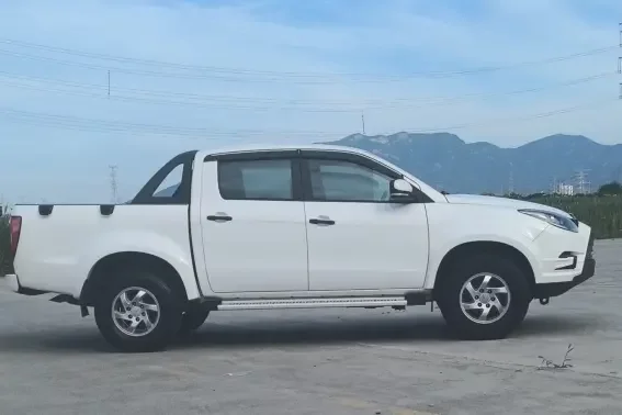 Jiangling Domain Tiger 5