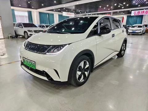 BYD dolphin