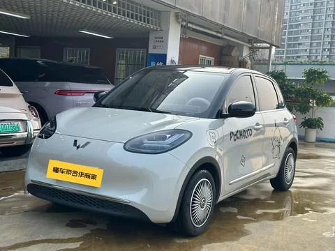 Wuling Bingo