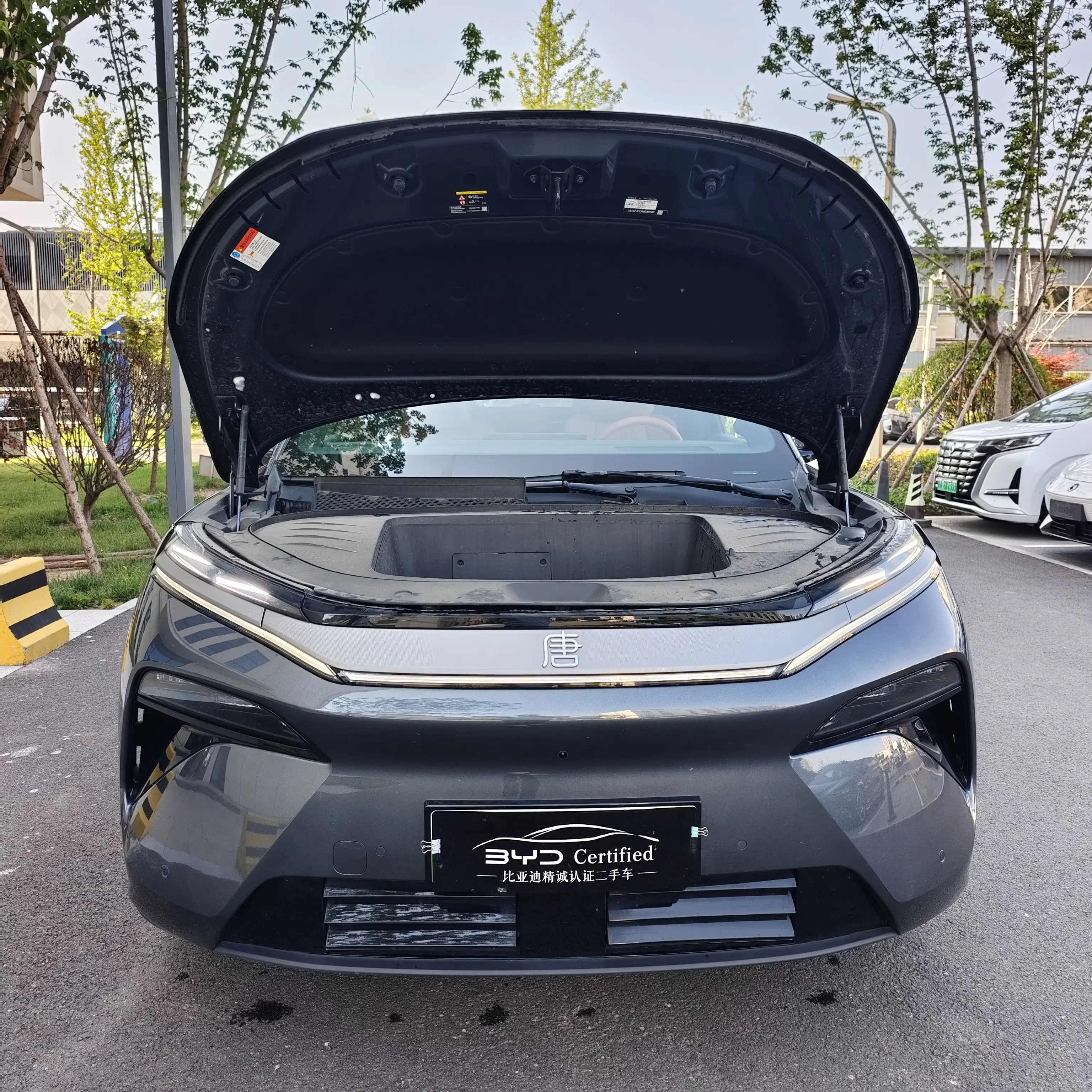 BYD Tang L EV