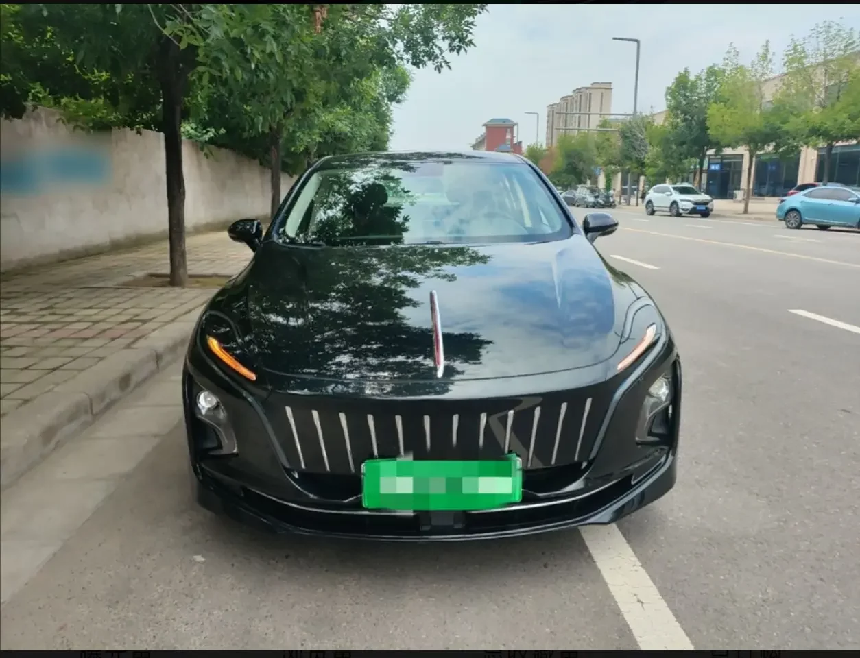 Hongqi E-QM5