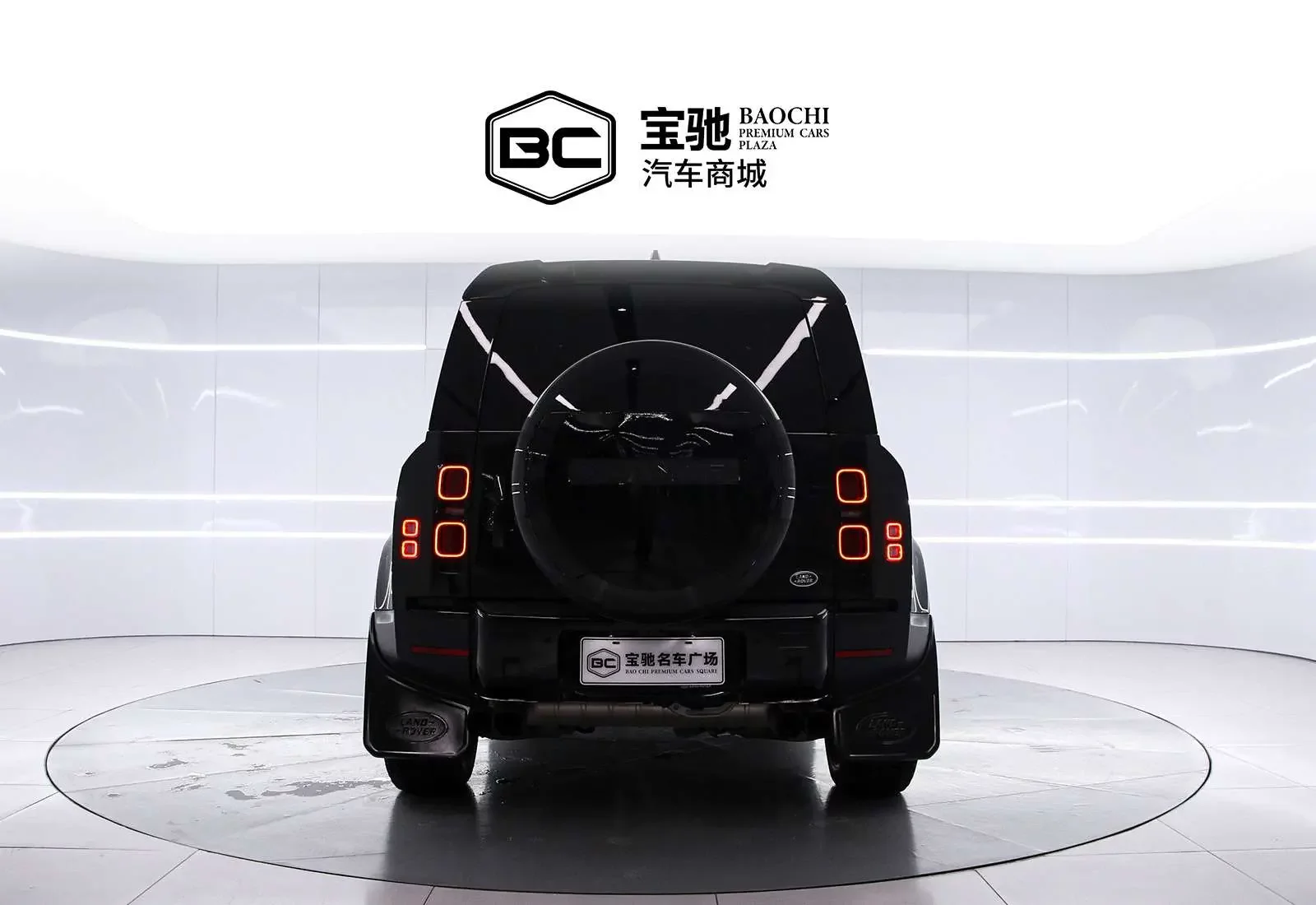 Land Rover guard