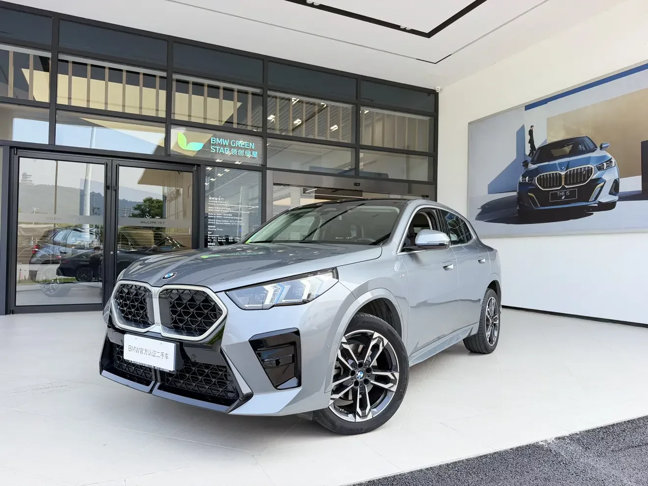 BMW X2