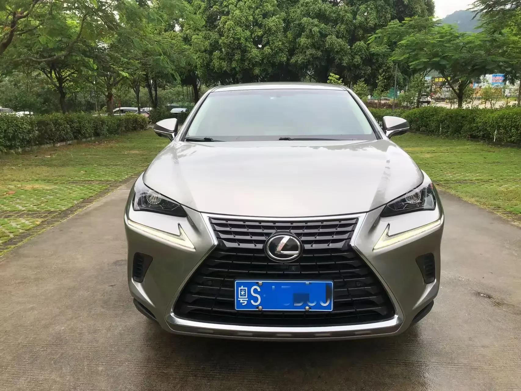 Lexus NX
