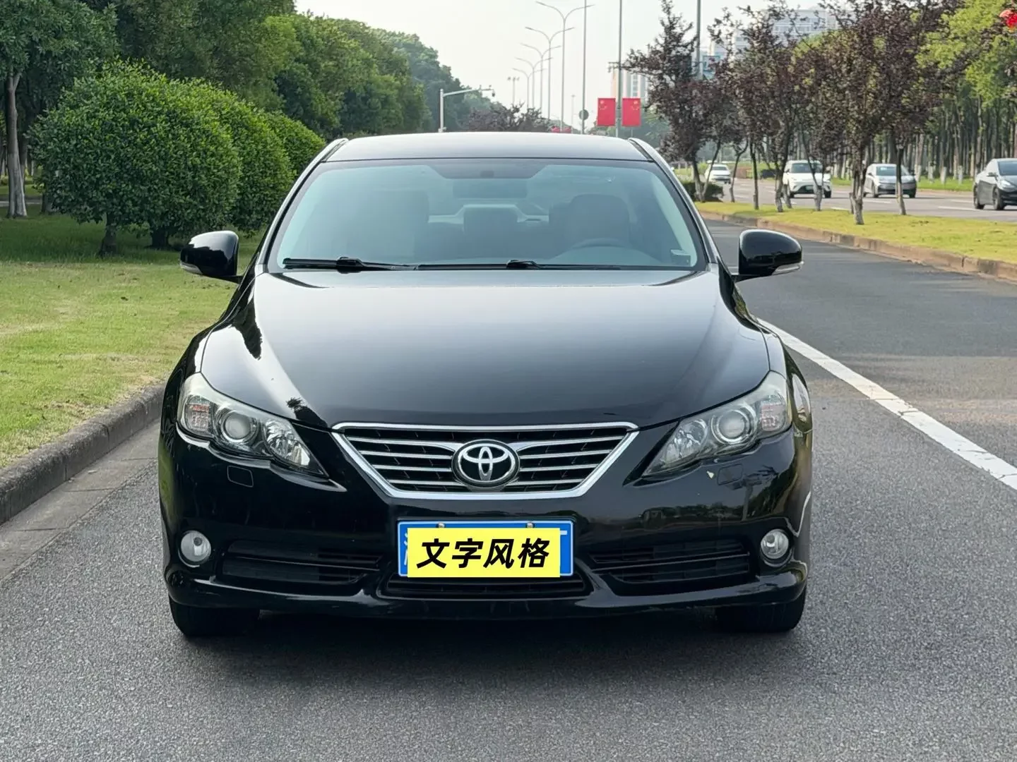Toyota Ruizhi