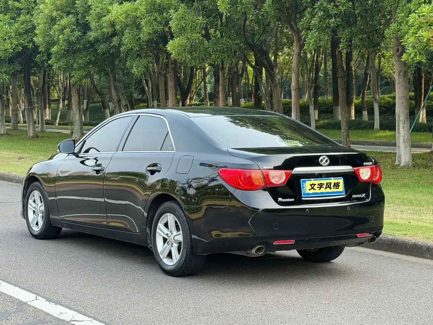 Toyota Ruizhi