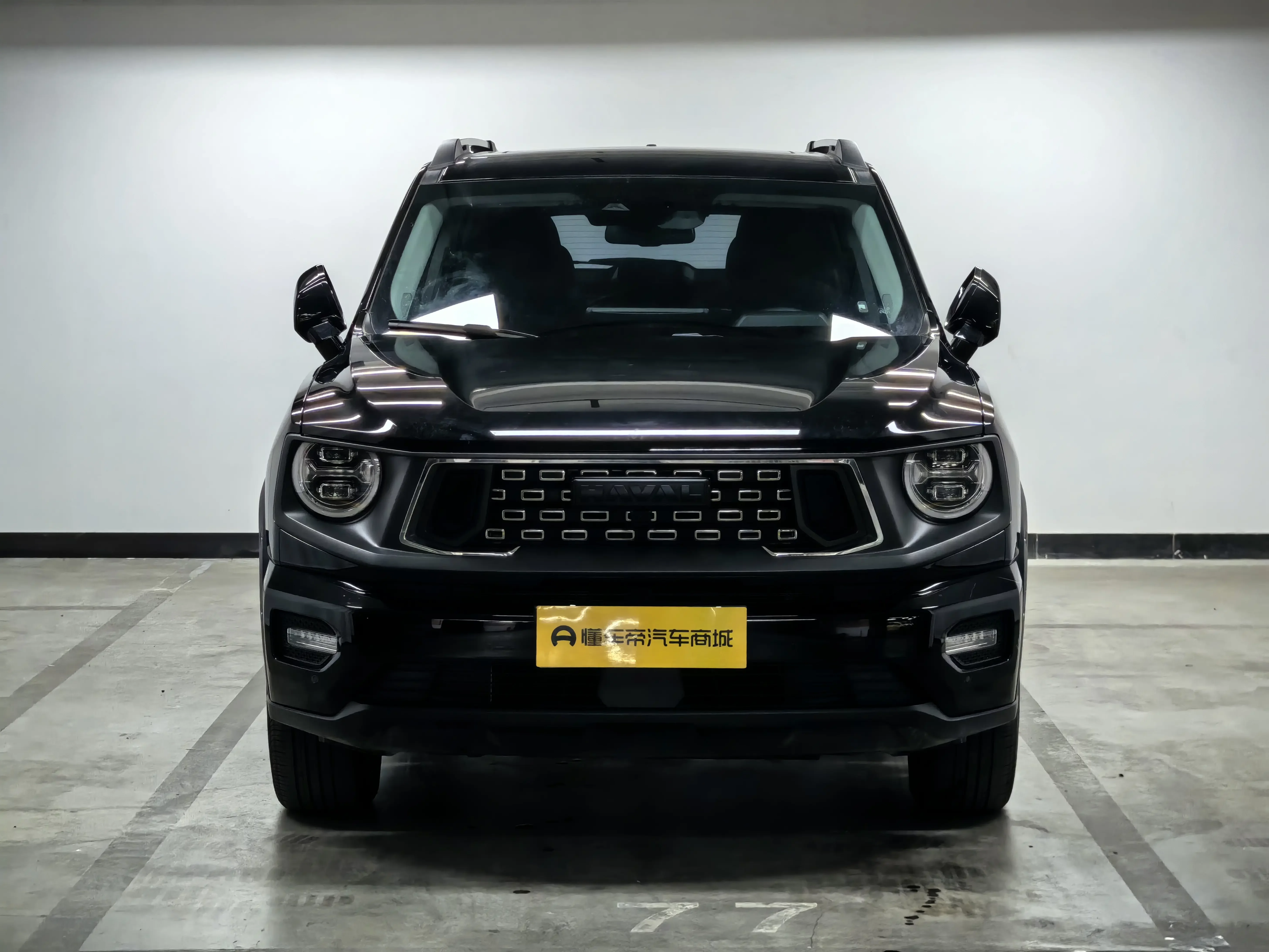 Haval Big Dog PLUS PHEV  из Китая