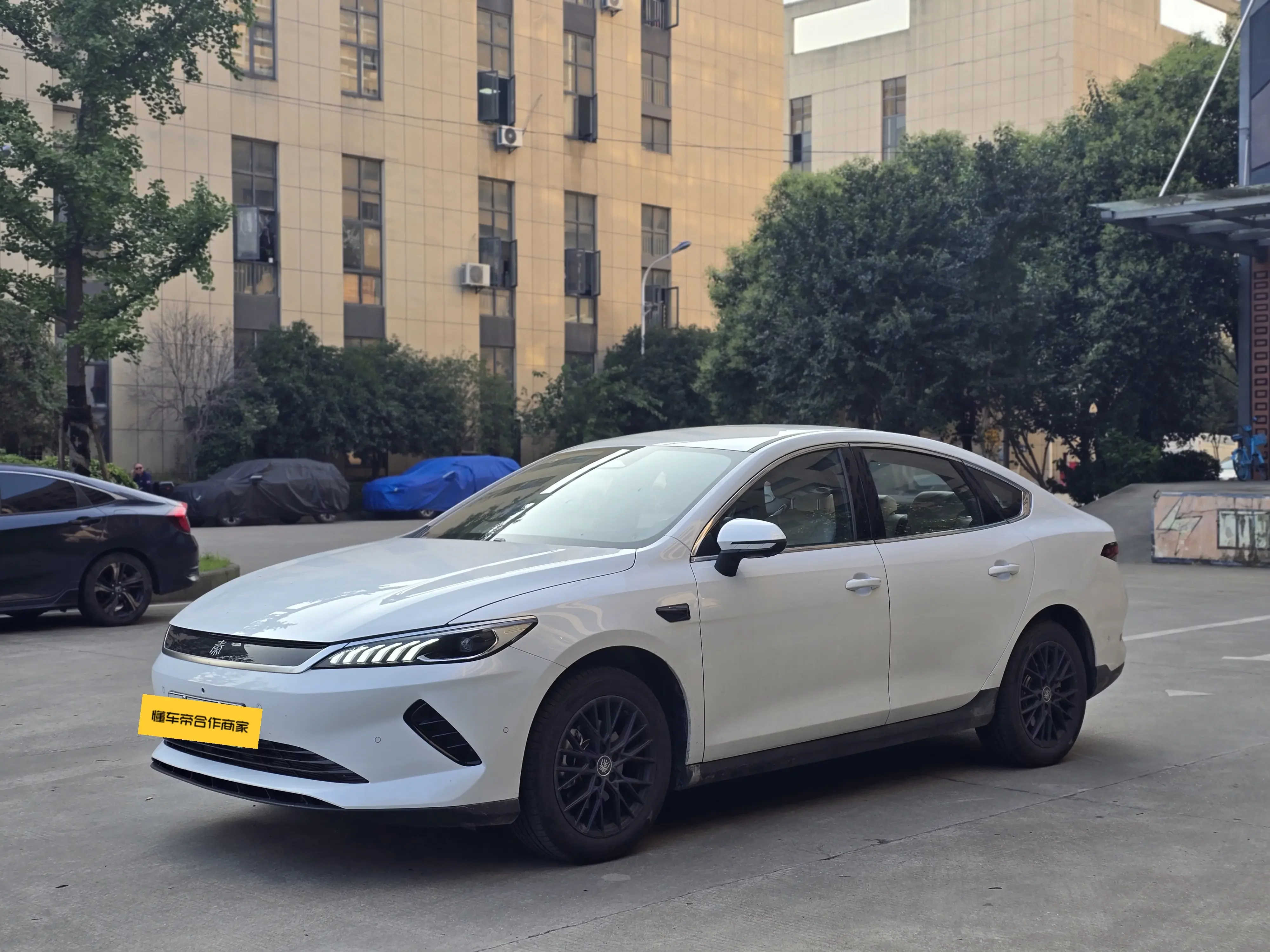 BYD Qin PLUS EV