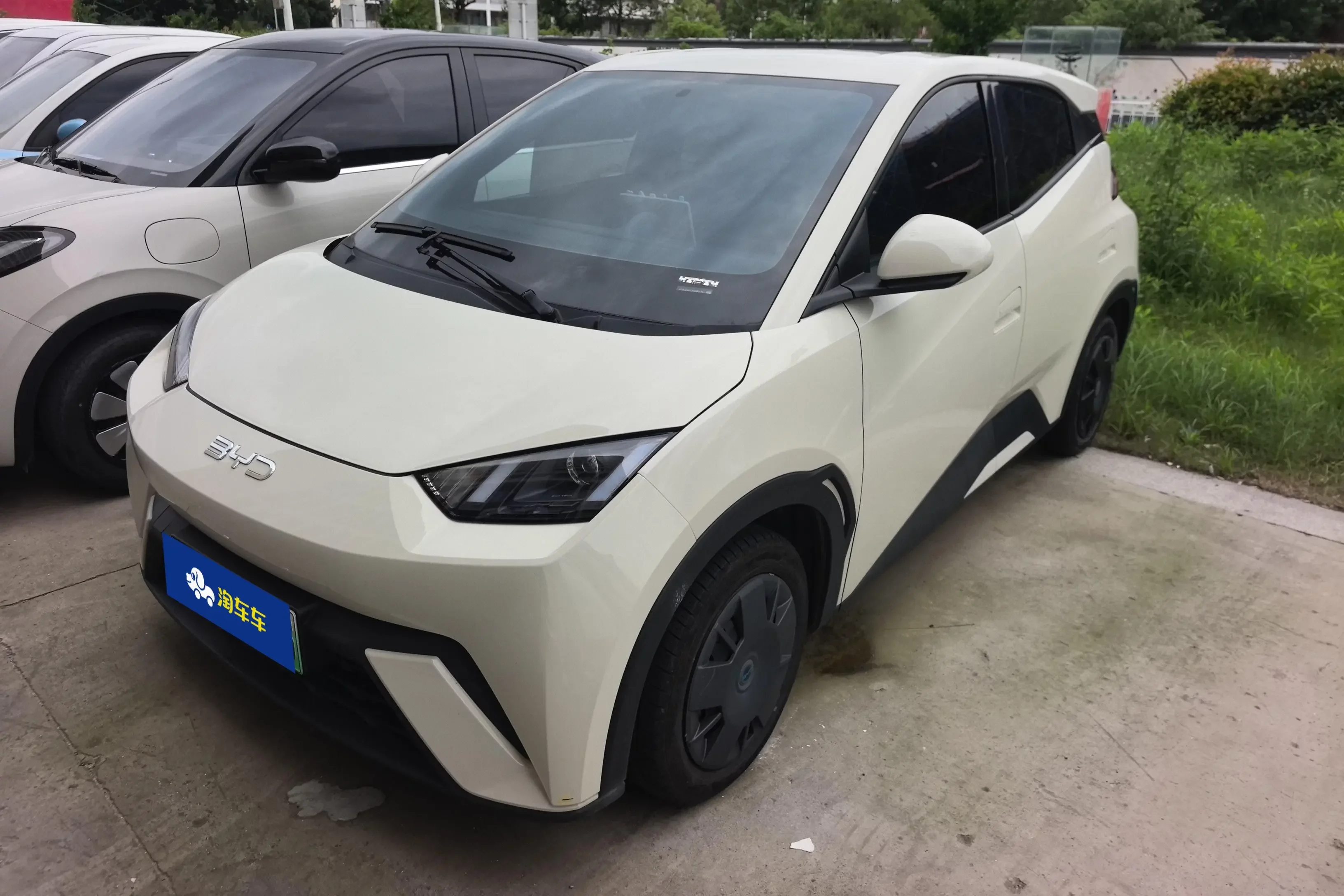 BYD seagull