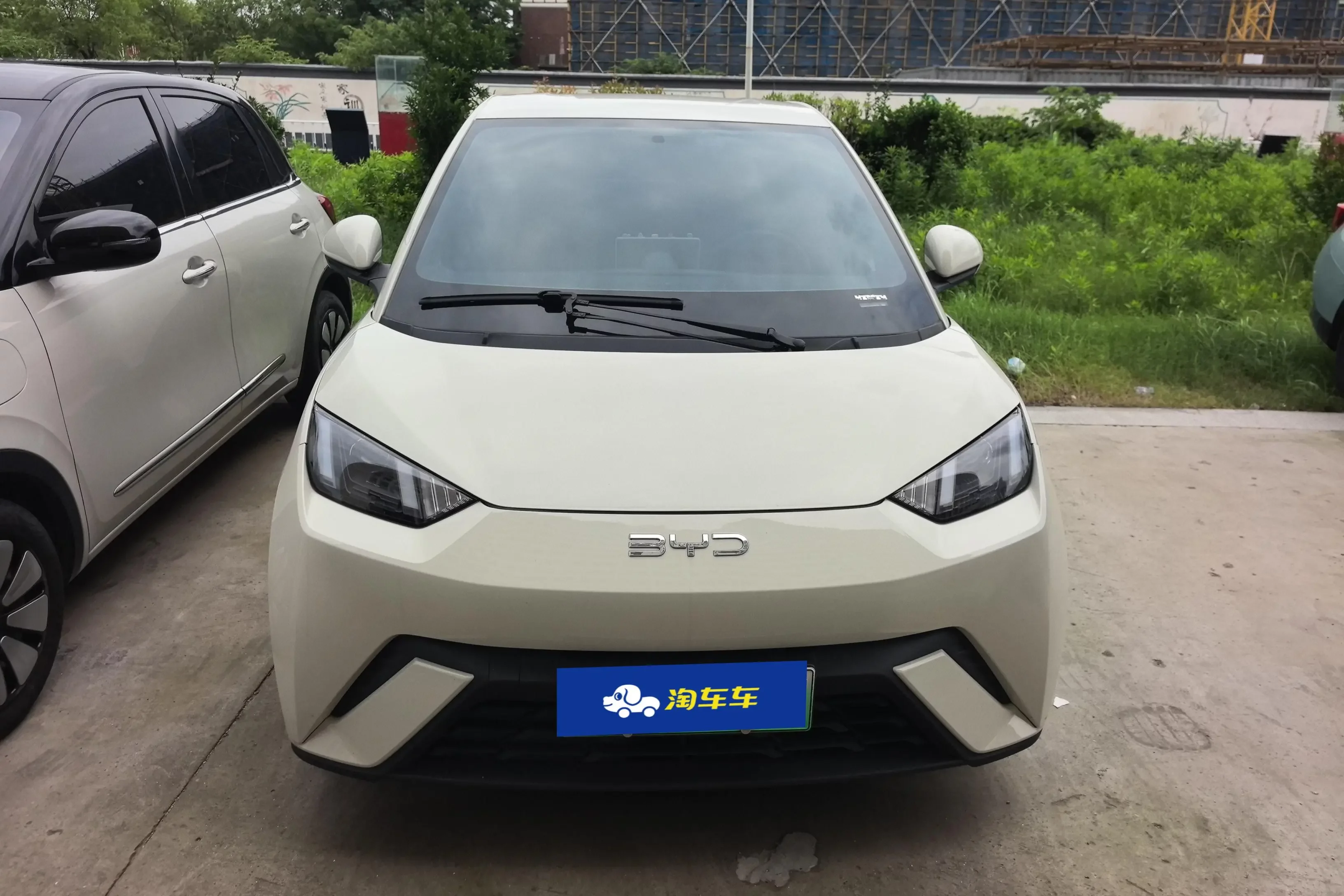 BYD seagull