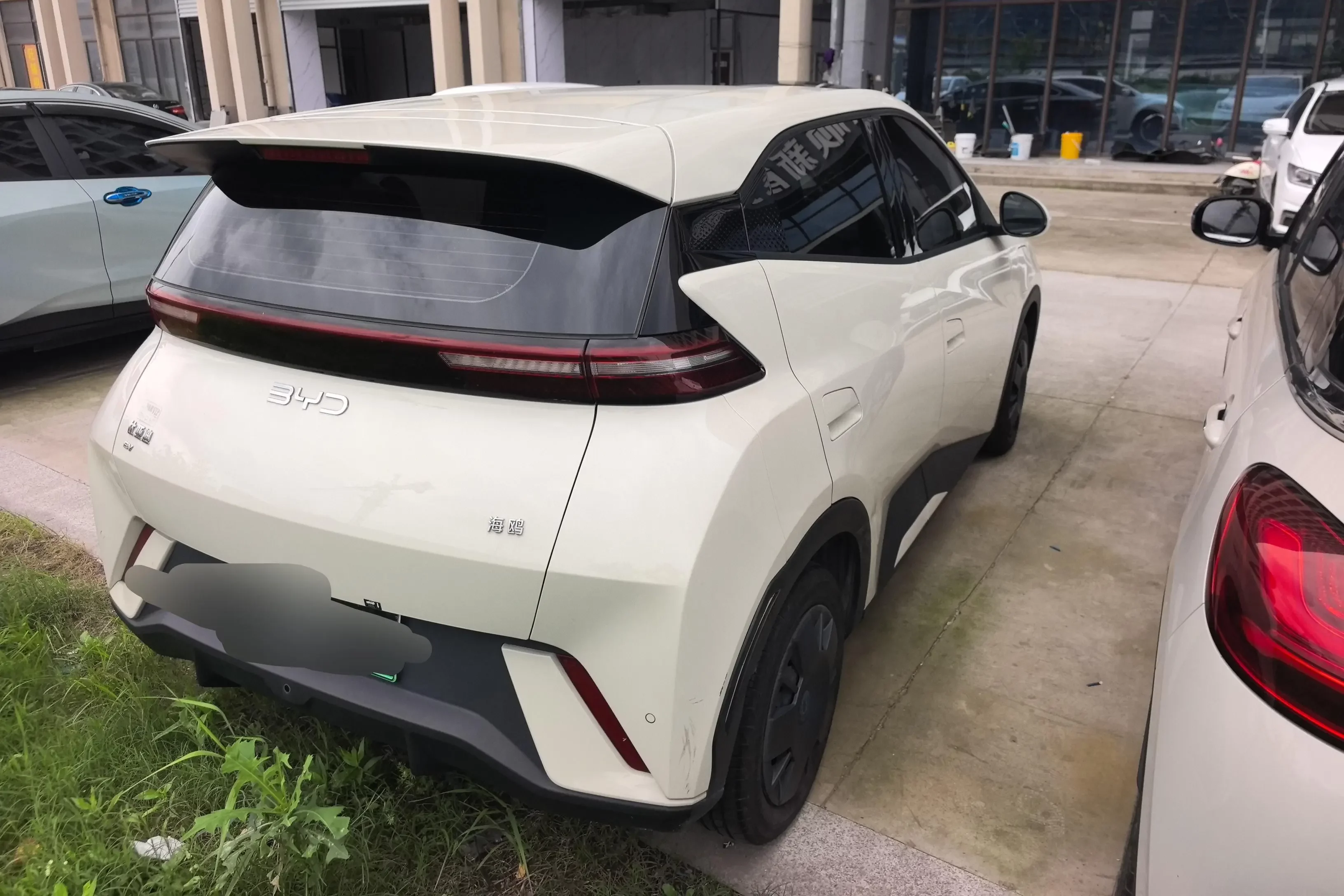 BYD seagull