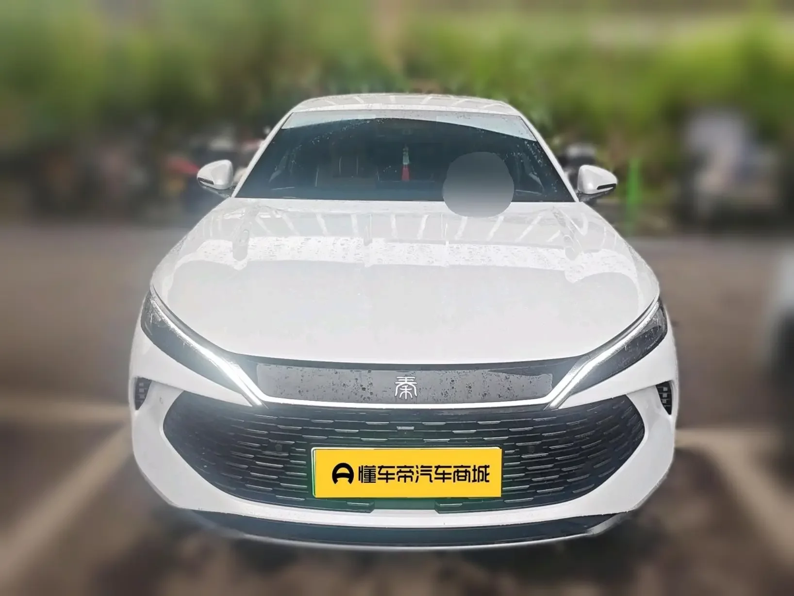 BYD Qin L DM