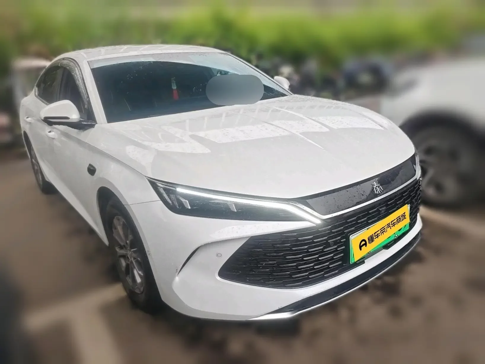 BYD Qin L DM