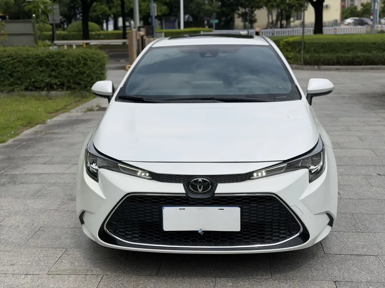 Toyota Levin