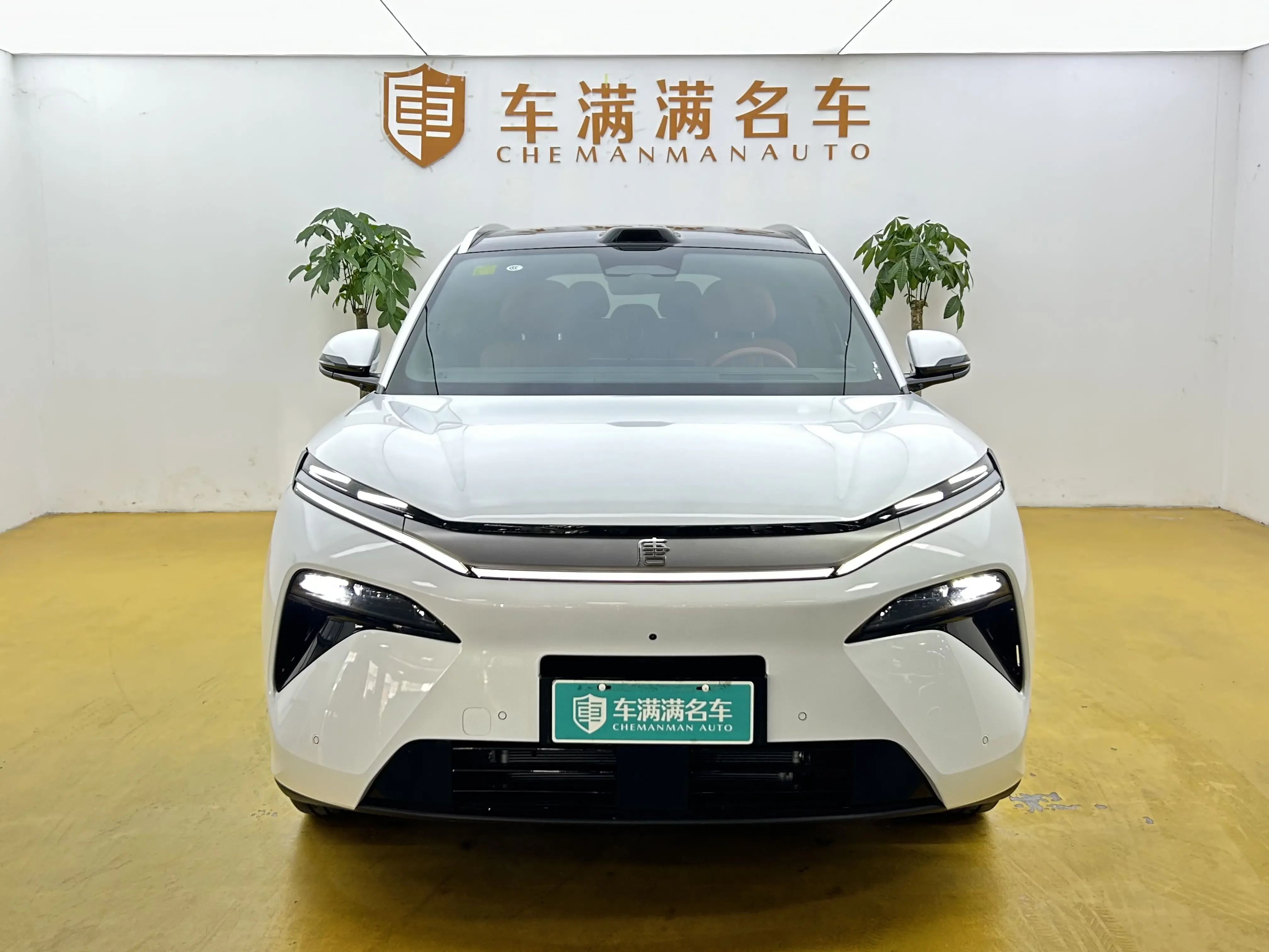 BYD Tang L DM