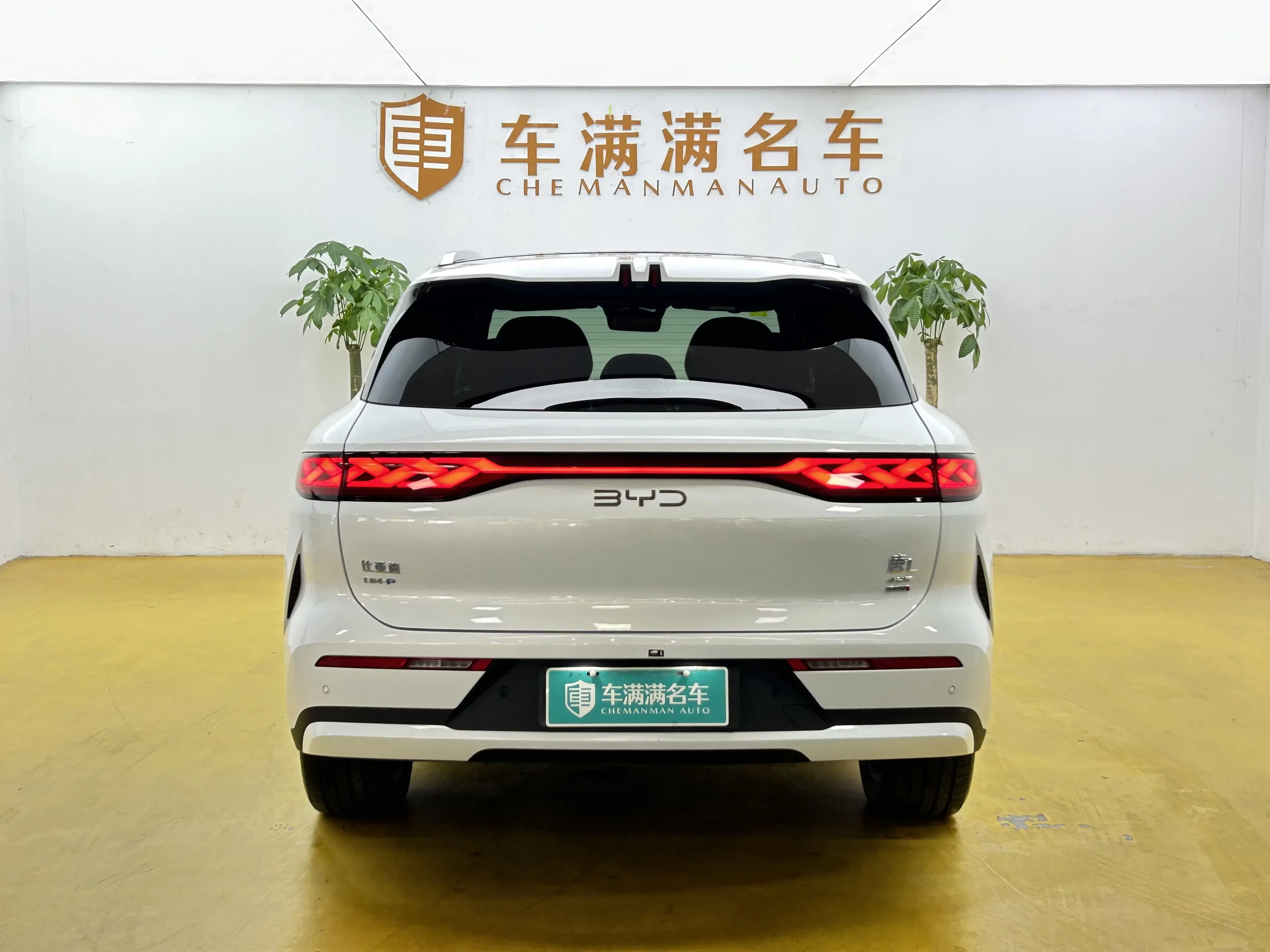 BYD Tang L DM