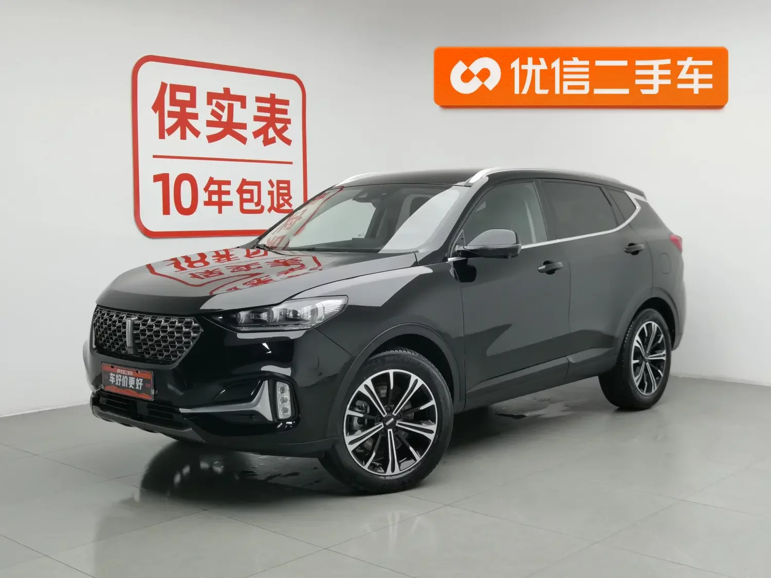 Wey Wei brand VV6