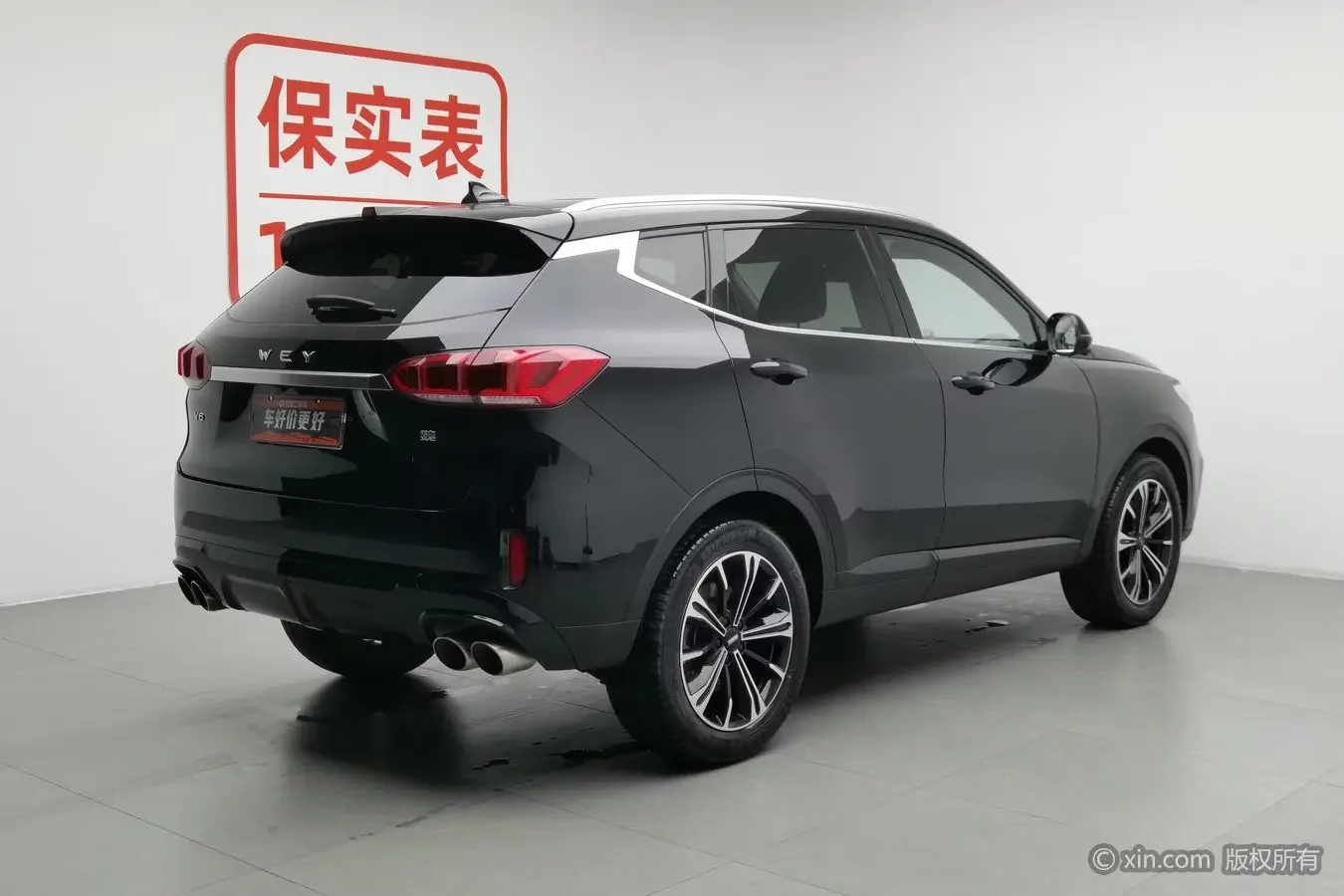 Wey Wei brand VV6