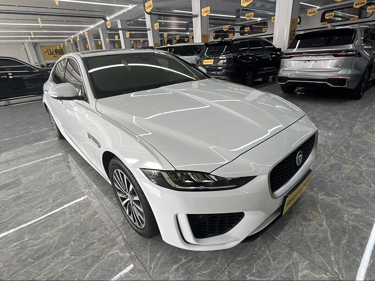 Jaguar XEL