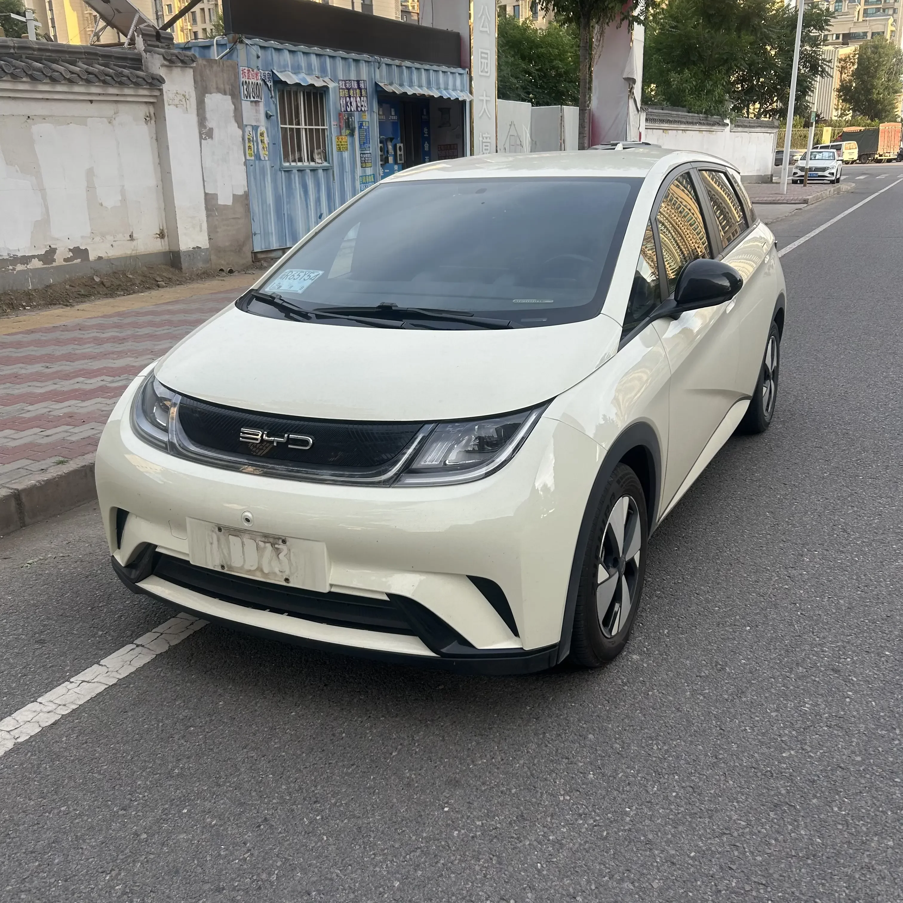 BYD dolphin