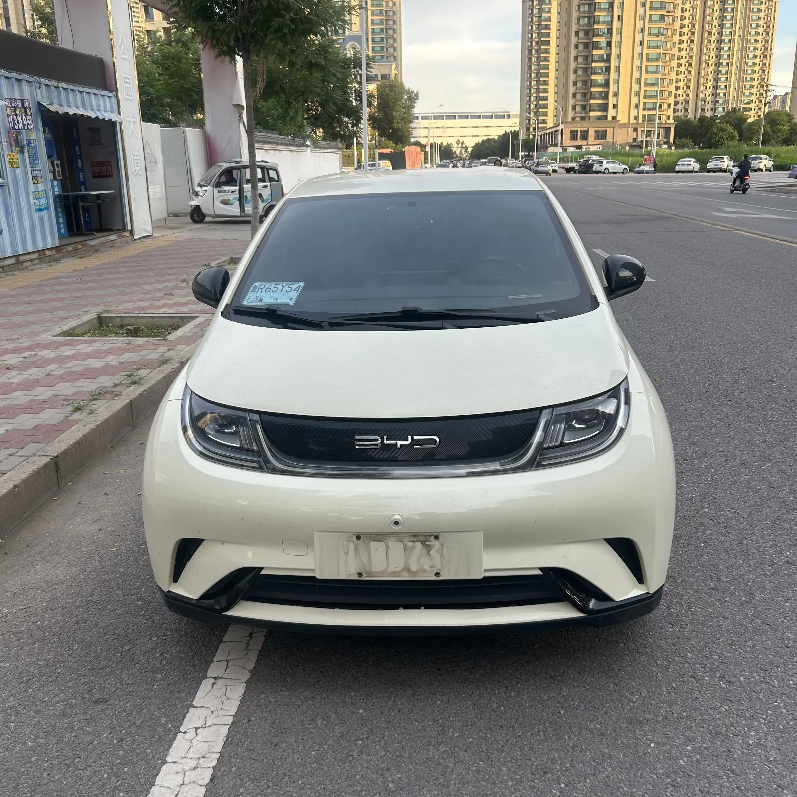 BYD dolphin