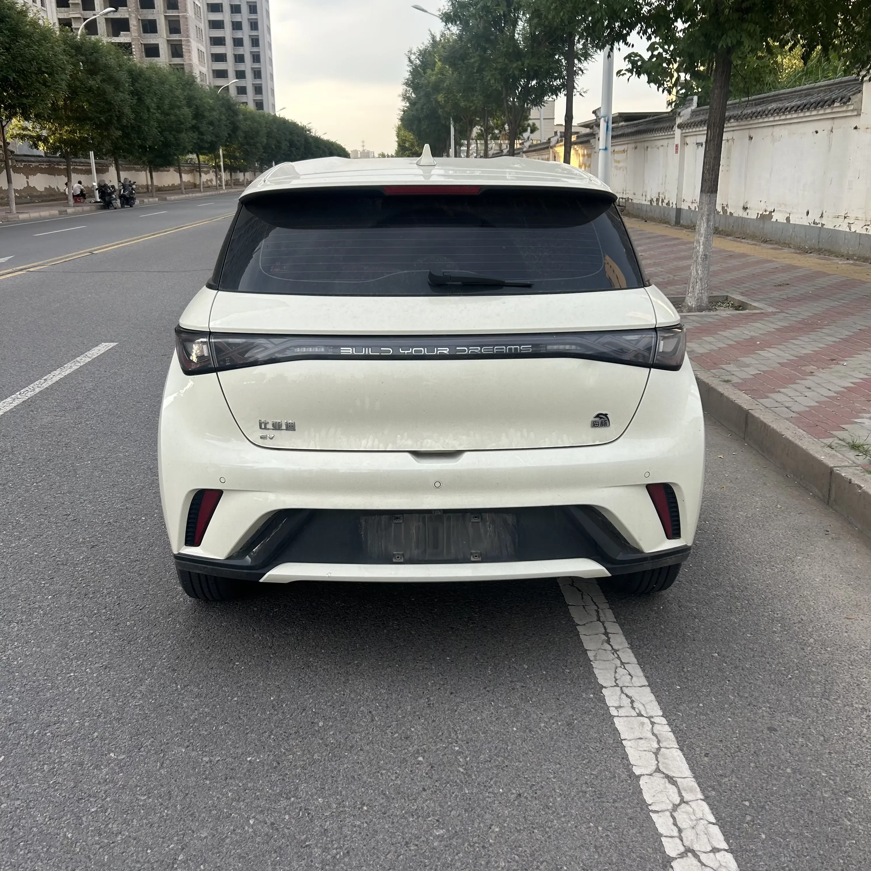 BYD dolphin