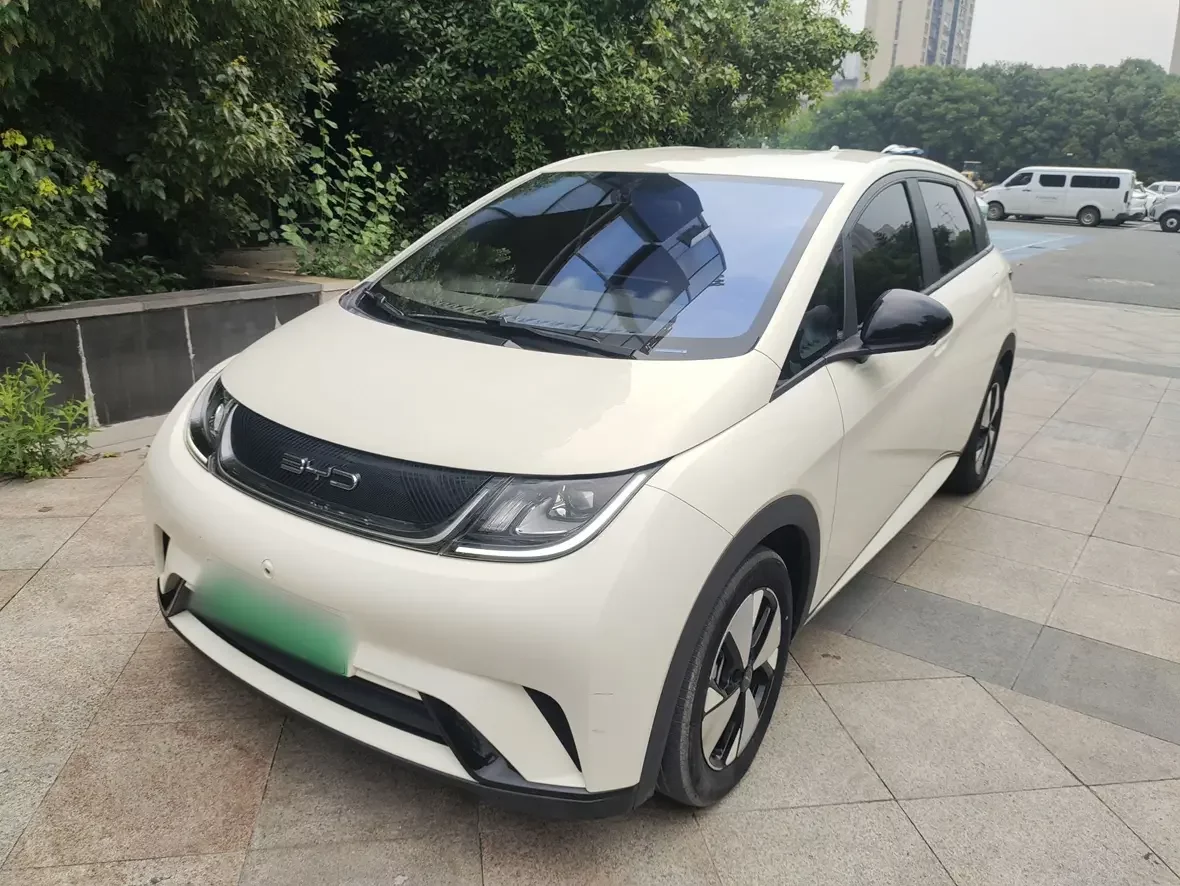 BYD dolphin
