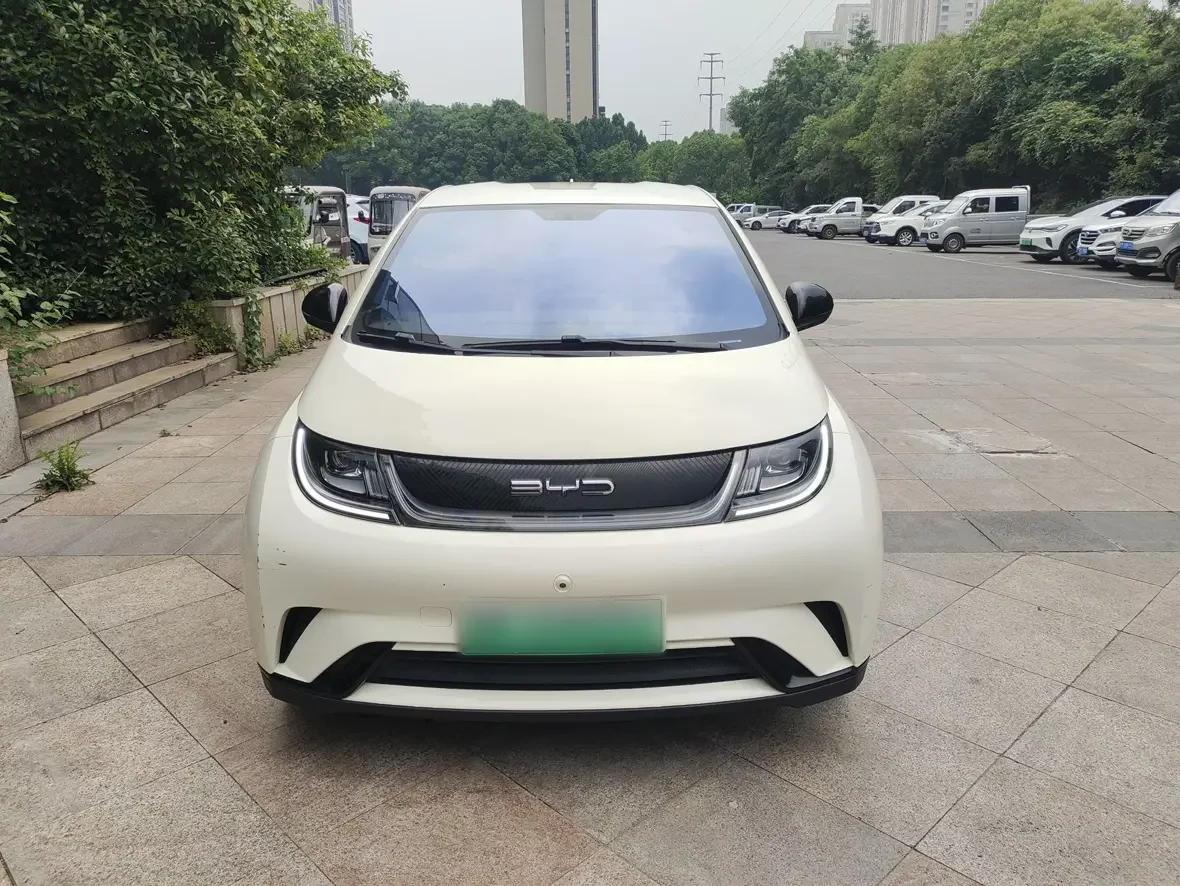 BYD dolphin