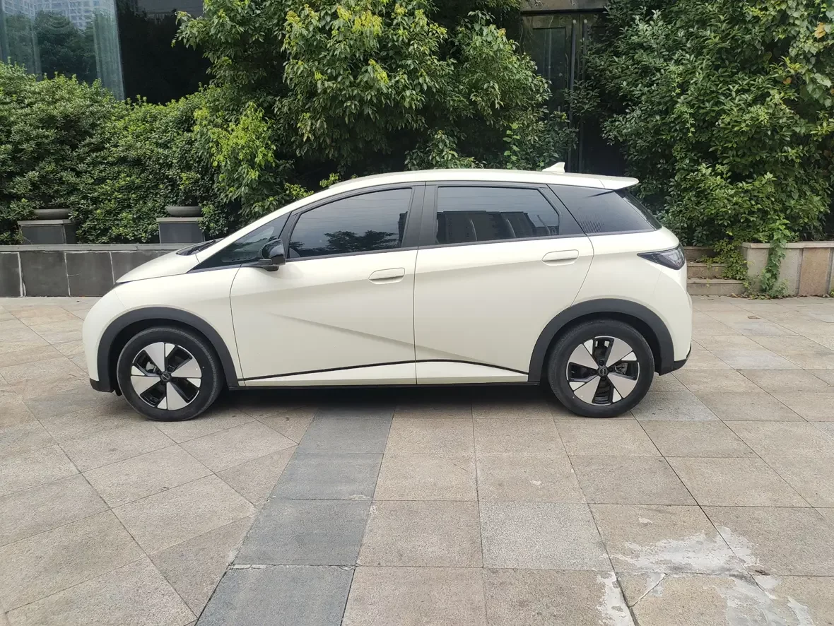 BYD dolphin