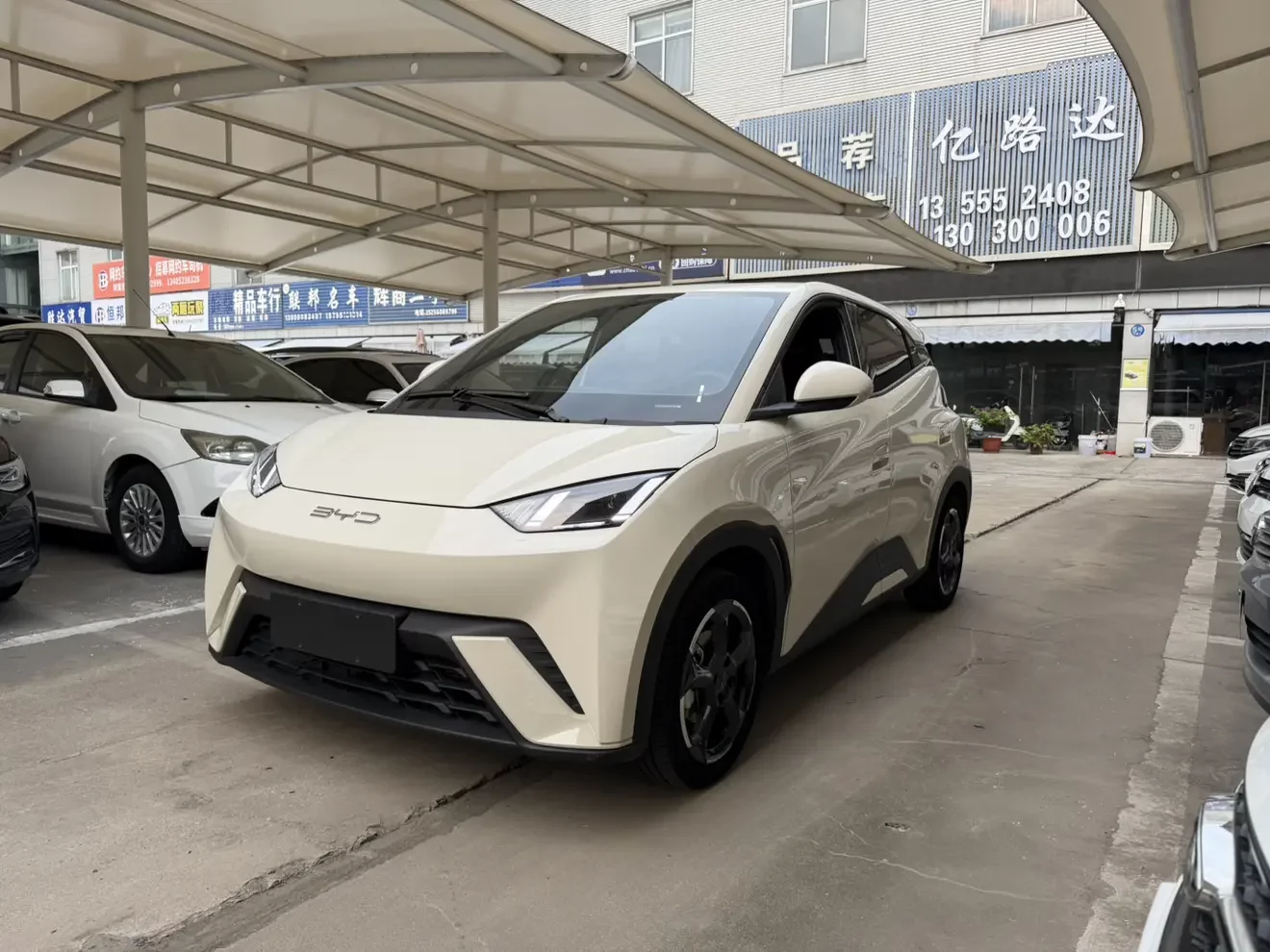 BYD seagull