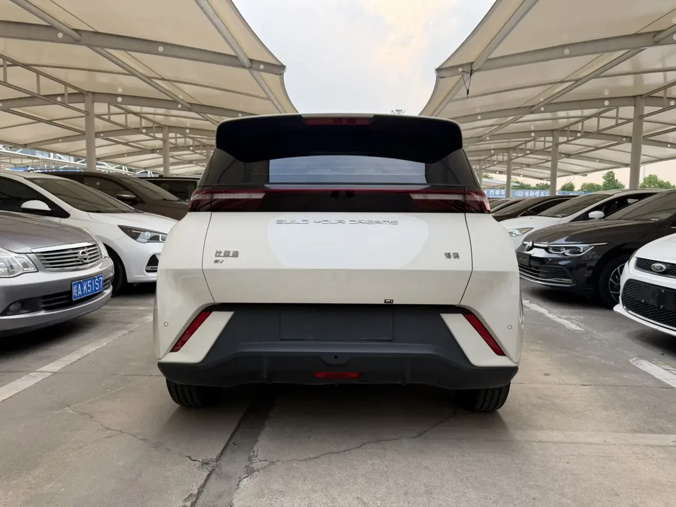 BYD seagull