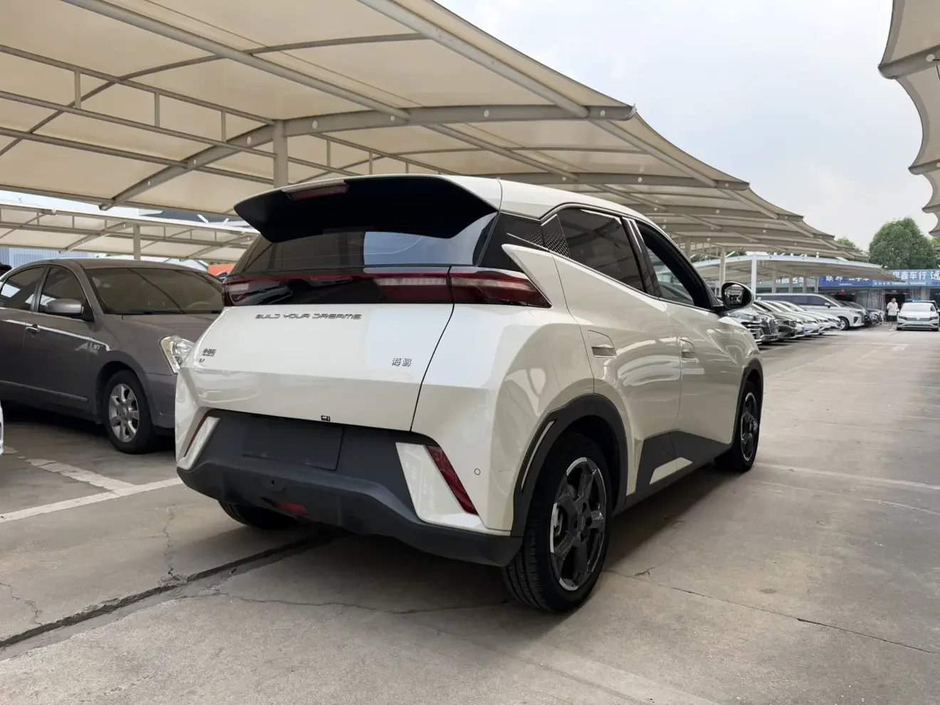 BYD seagull