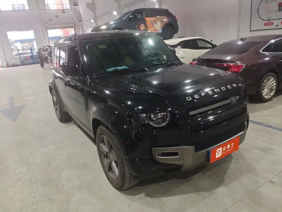 Land Rover guard