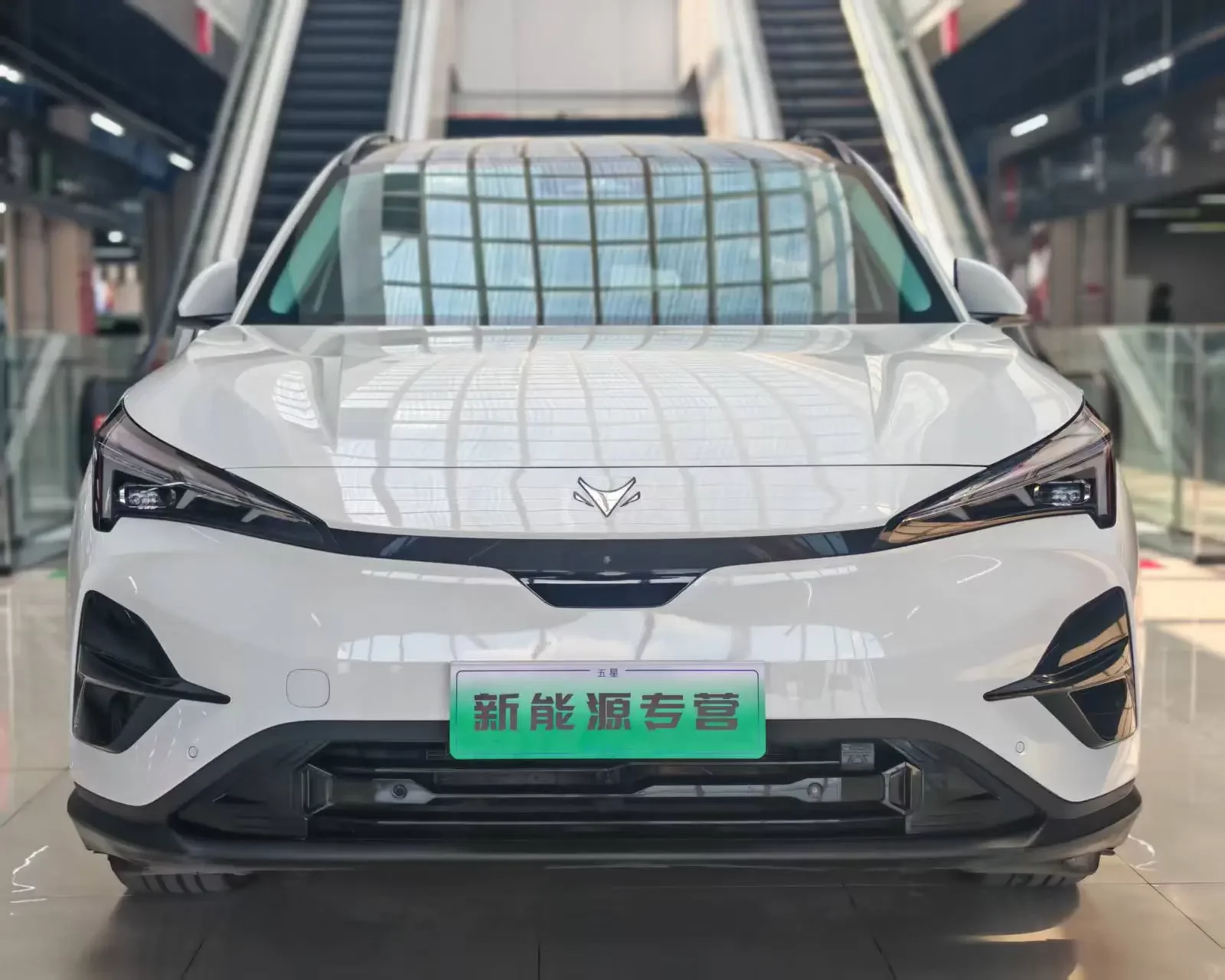 ARCFOX Extreme Fox JiFox Alpha T5