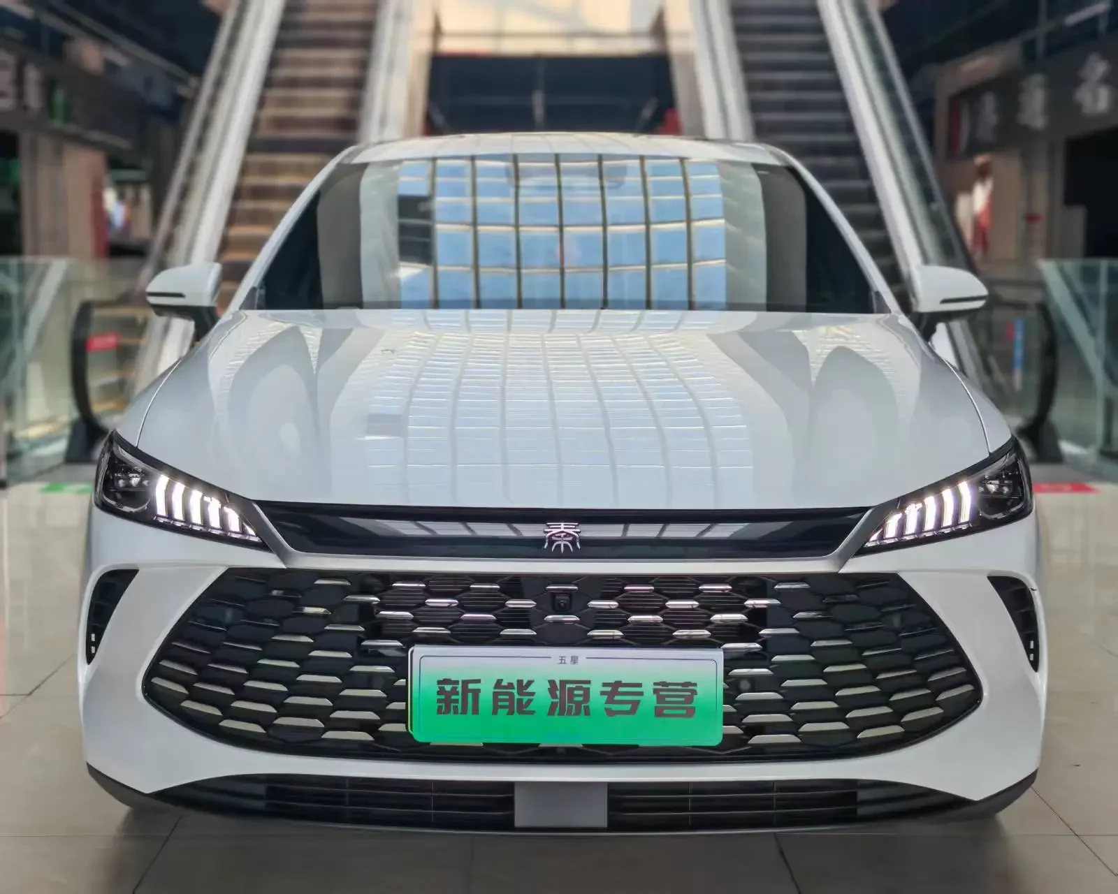 BYD Qin PLUS DM