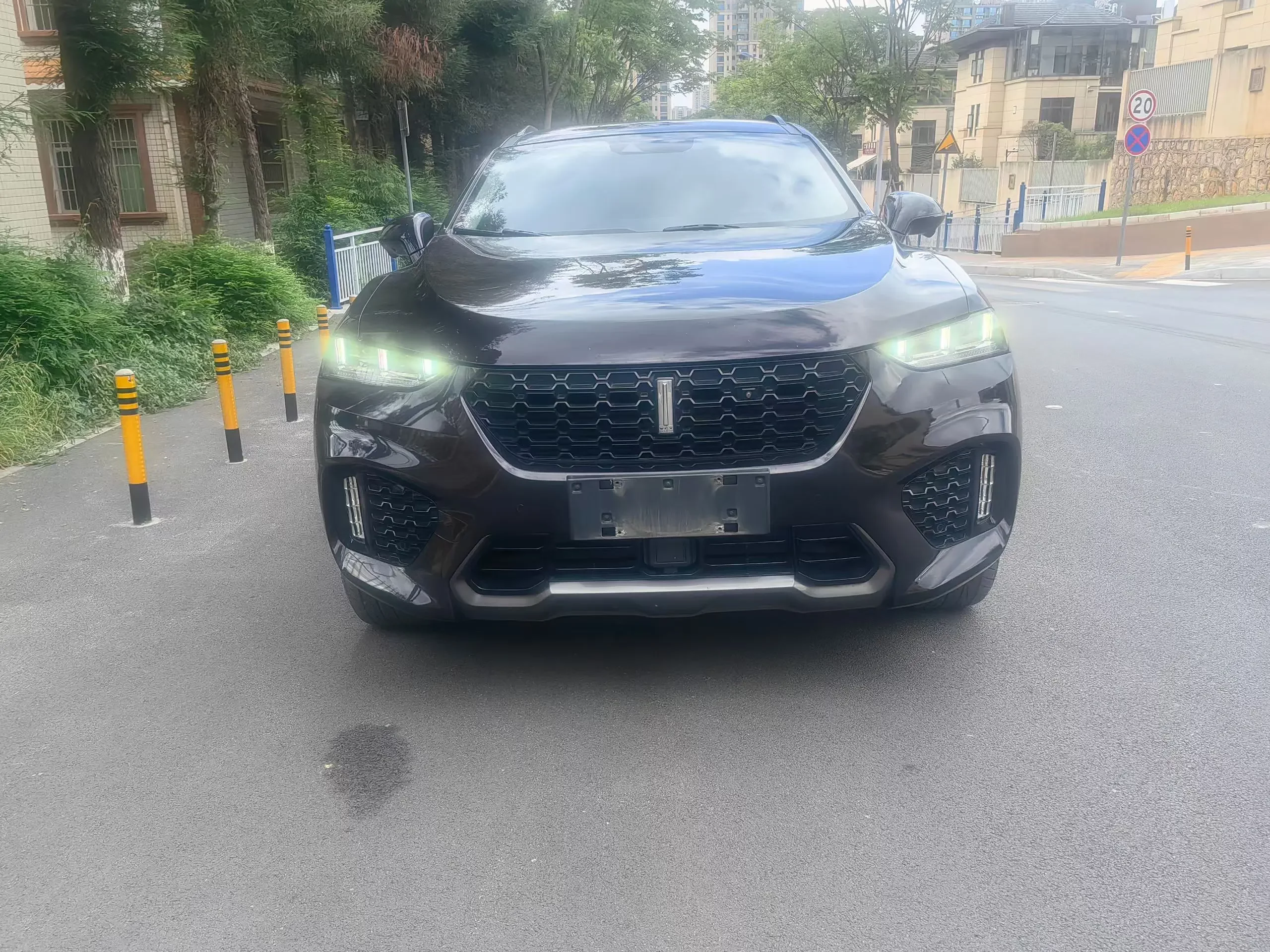 Wey Wei brand VV7